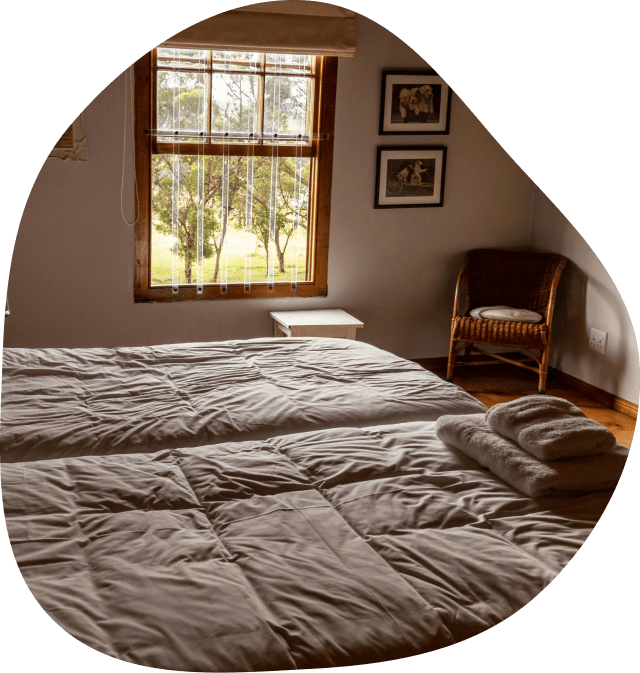 room01